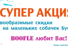Интернет-магазин Boofle.su  на сайте Sviblovo.su
