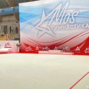 Школа художественной гимнастики МОСгимнастика в Лазоревом проезде фото 8 на сайте Sviblovo.su