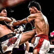 Клуб тайского бокса и кикбоксинга Rorc fight фото 3 на сайте Sviblovo.su